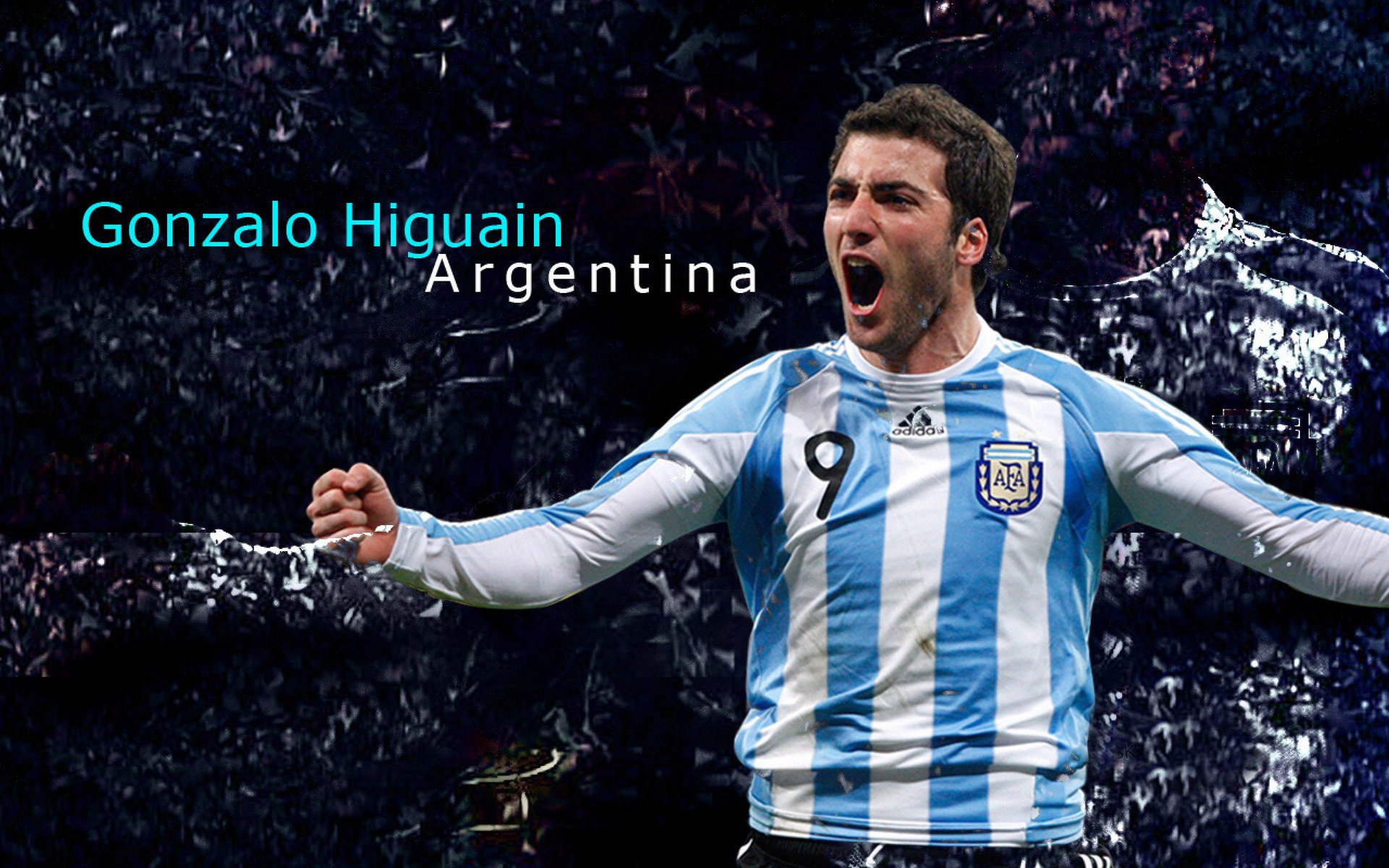 中国篮球青少年篮球发展区域差异及均衡发展策略研究，全国青少年篮球特色